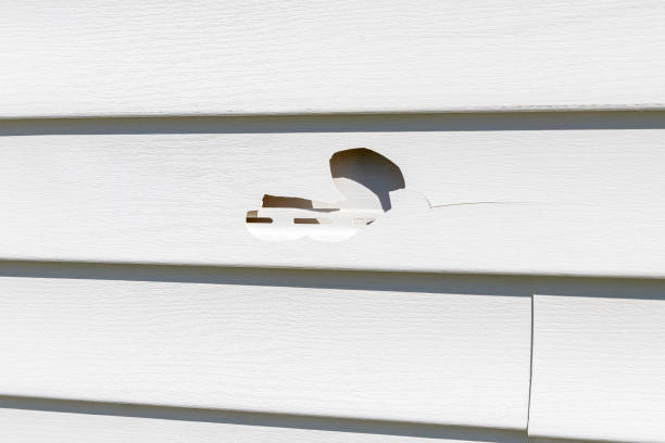 Professional Siding Installation & Repair in Grand Rapids, MI